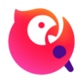 极弹加速器